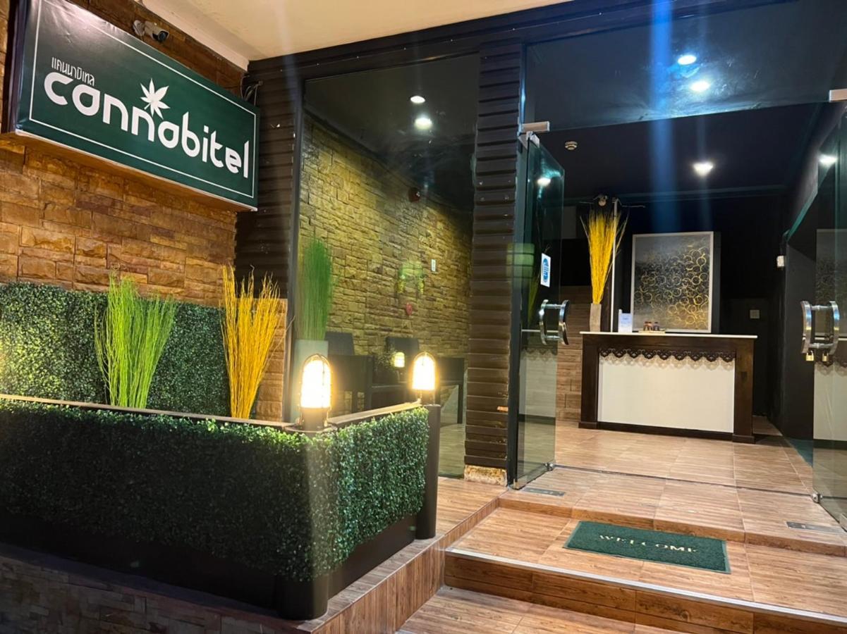 Cannabitel 핫 린 외부 사진