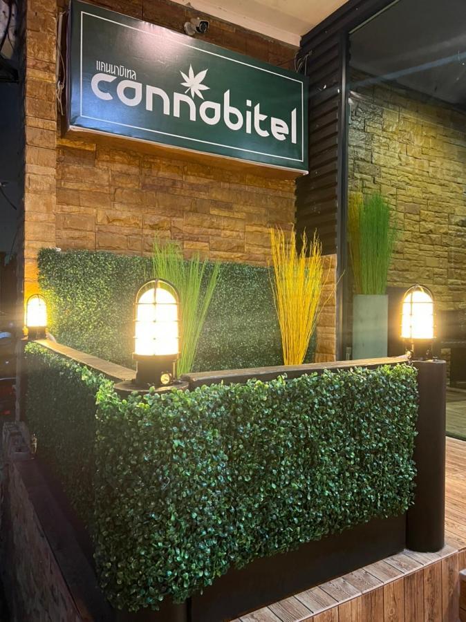 Cannabitel 핫 린 외부 사진