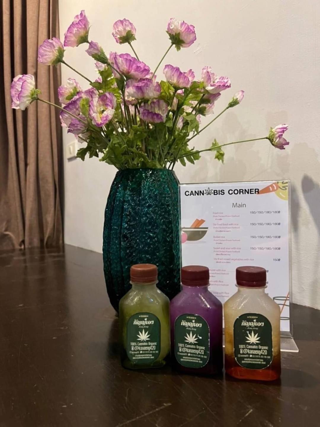 Cannabitel 핫 린 외부 사진